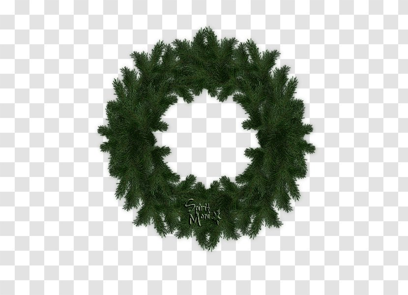 Wreath Box Twig Leaf Garland - Pine Family Transparent PNG