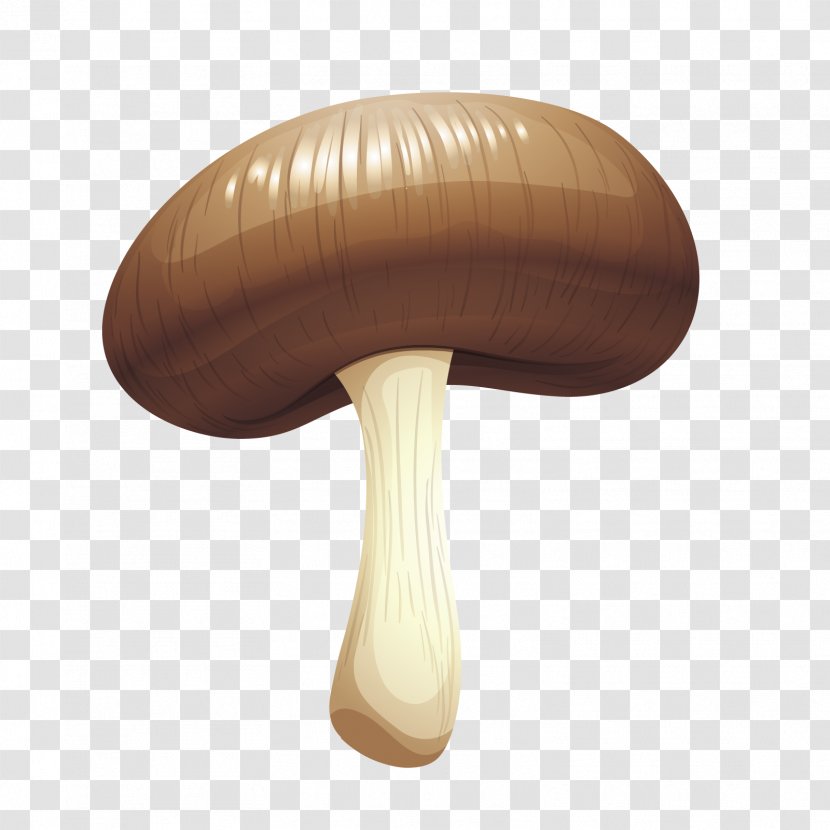 Mushroom Designer - Wood - Vector Realistic Mushrooms Transparent PNG