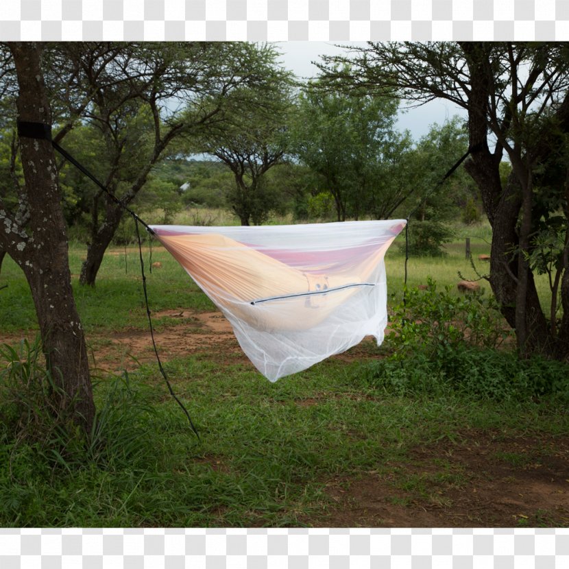 Mosquito Nets & Insect Screens Hammock Sleep - Tarpaulin - Net Transparent PNG