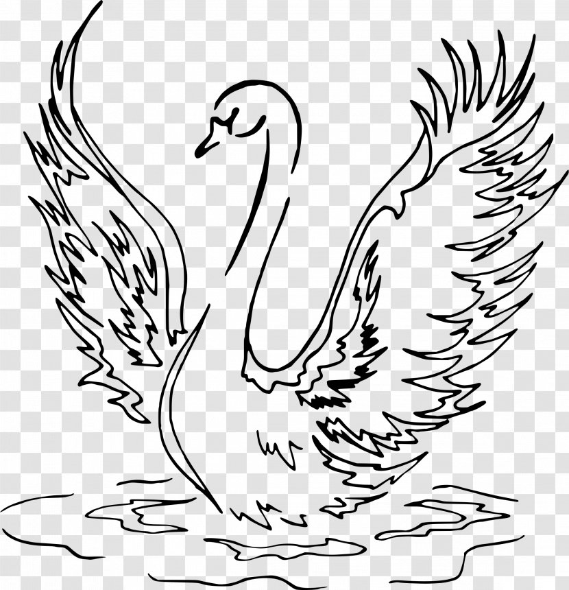 Cygnini Drawing Line Art - Tail - Swan Transparent PNG