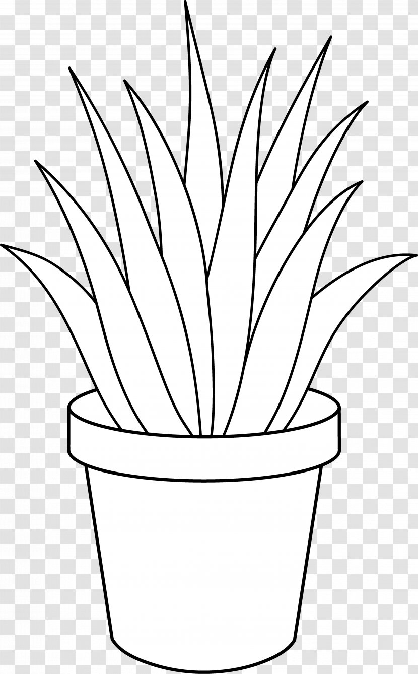 Aloe Vera Houseplant Black And White Clip Art - Drawing - Plants Transparent PNG