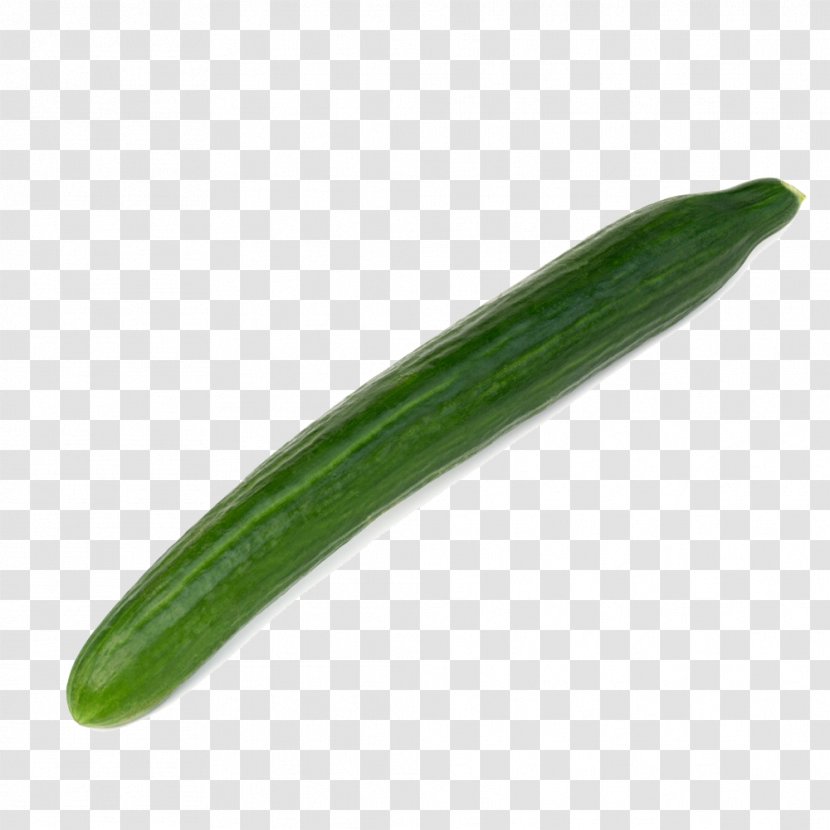 Cucumber - Grass - Gourd Order Transparent PNG