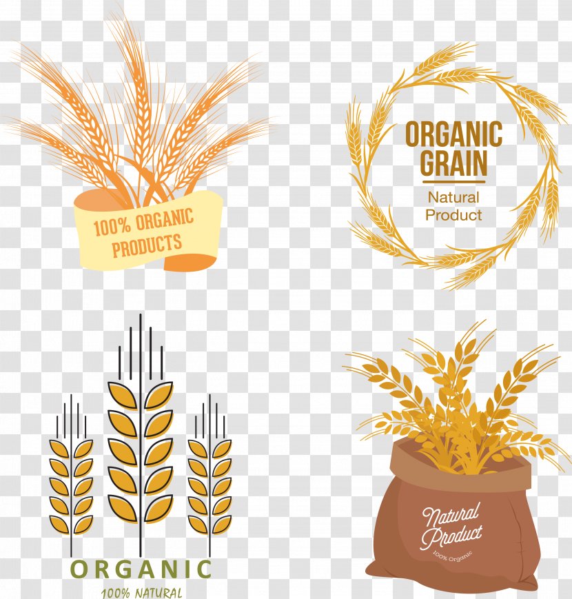 Organic Food Wheat Euclidean Vector - Label - Reap Transparent PNG