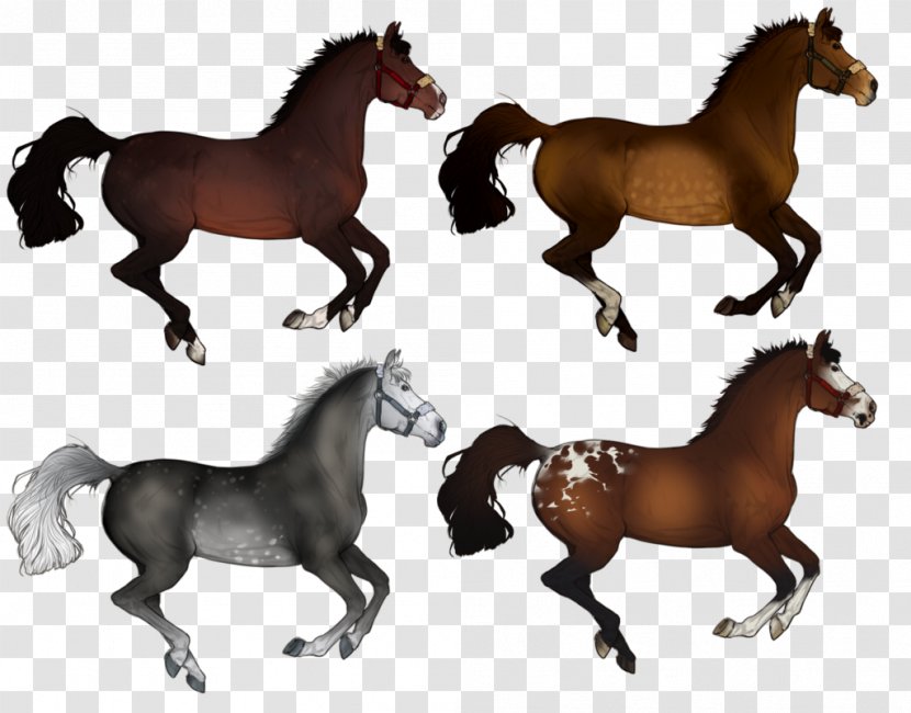 Mustang Stallion Mare Pony Mane - Horse Supplies Transparent PNG