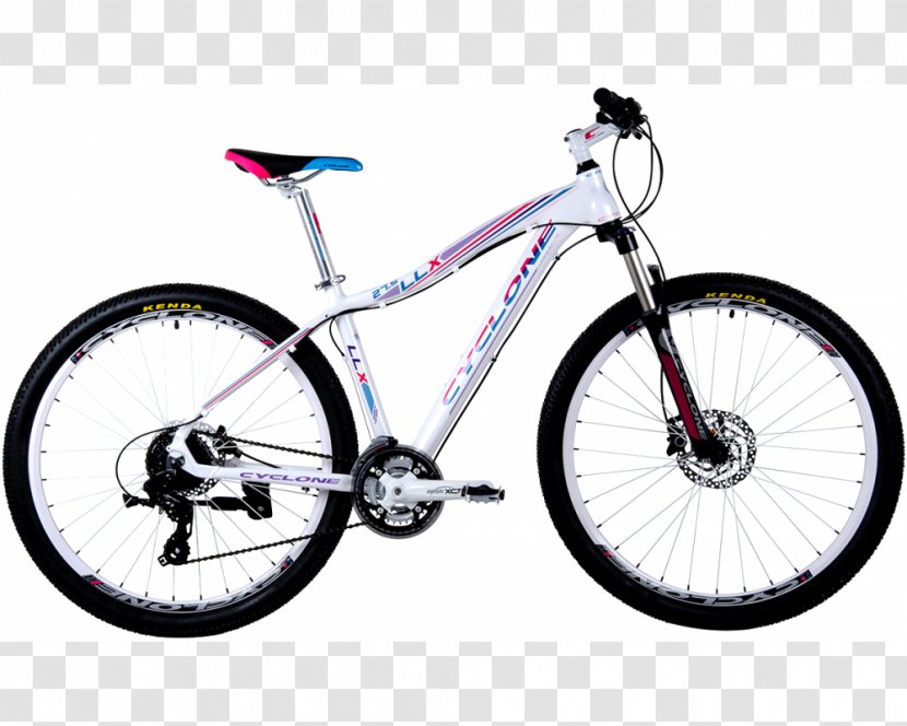 Hybrid Bicycle Mountain Bike 29er Specialized Components - Crosscountry Cycling Transparent PNG