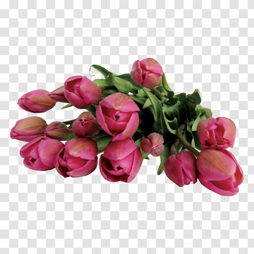 Flower Bouquet Clip Art - Pink - Tulip Flowers Transparent PNG