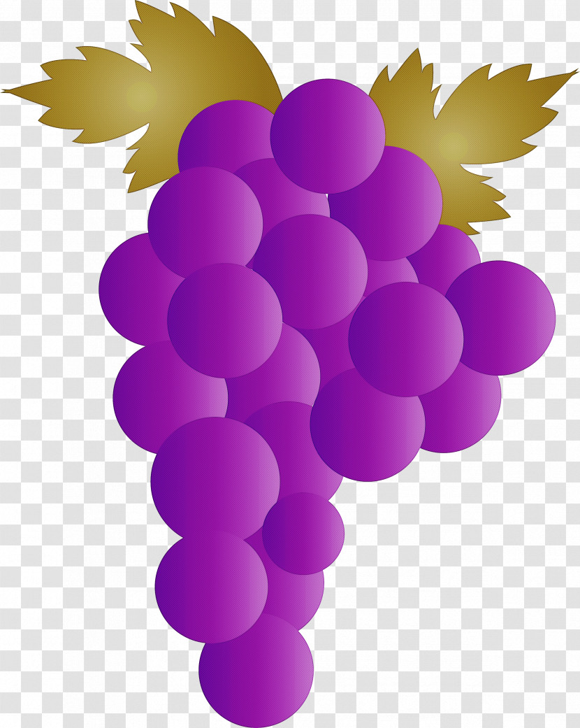 Grape Wine Zante Currant Juice Grape Leaves Transparent PNG