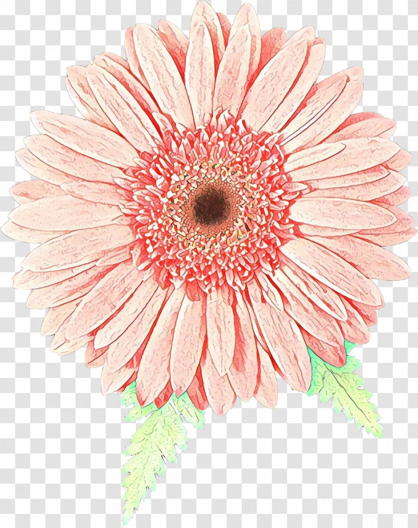 Flowers Background - Cut - Asterales Daisy Transparent PNG