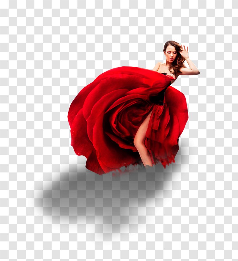 Andalusia Flamenco Dance Art Salsa - Cartoon - Red Dress Beautiful Decorative Patterns Transparent PNG