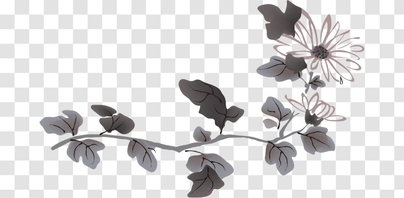 Chrysanthemum Download - Branch Transparent PNG