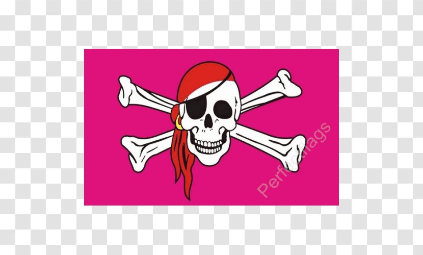 Jolly Roger Piracy Rainbow Flag Totenkopf Skull And Crossbones Transparent PNG