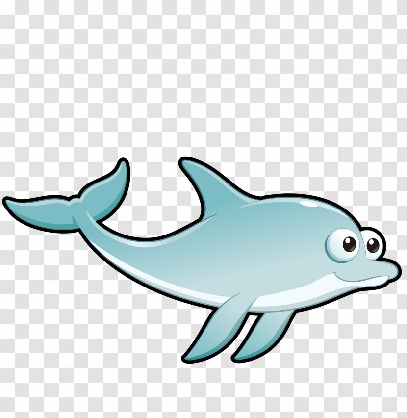 Common Bottlenose Dolphin Tucuxi Drawing Cartoon - Marine Biology - Vector Fish In The Sea Transparent PNG