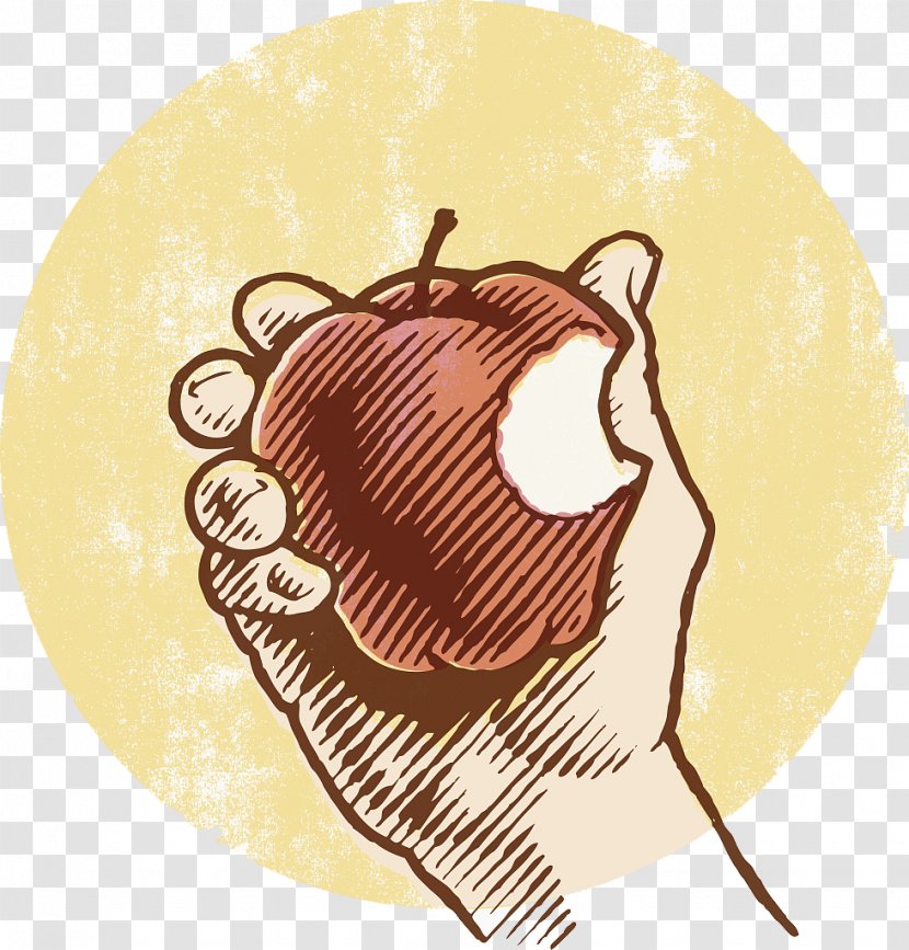 Apple Photography Royalty-free Stock Illustration - Drawing - Eat An Transparent PNG