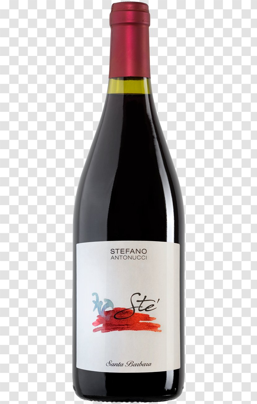 Italian Wine Pinot Noir Red Grenache - Bottle Transparent PNG