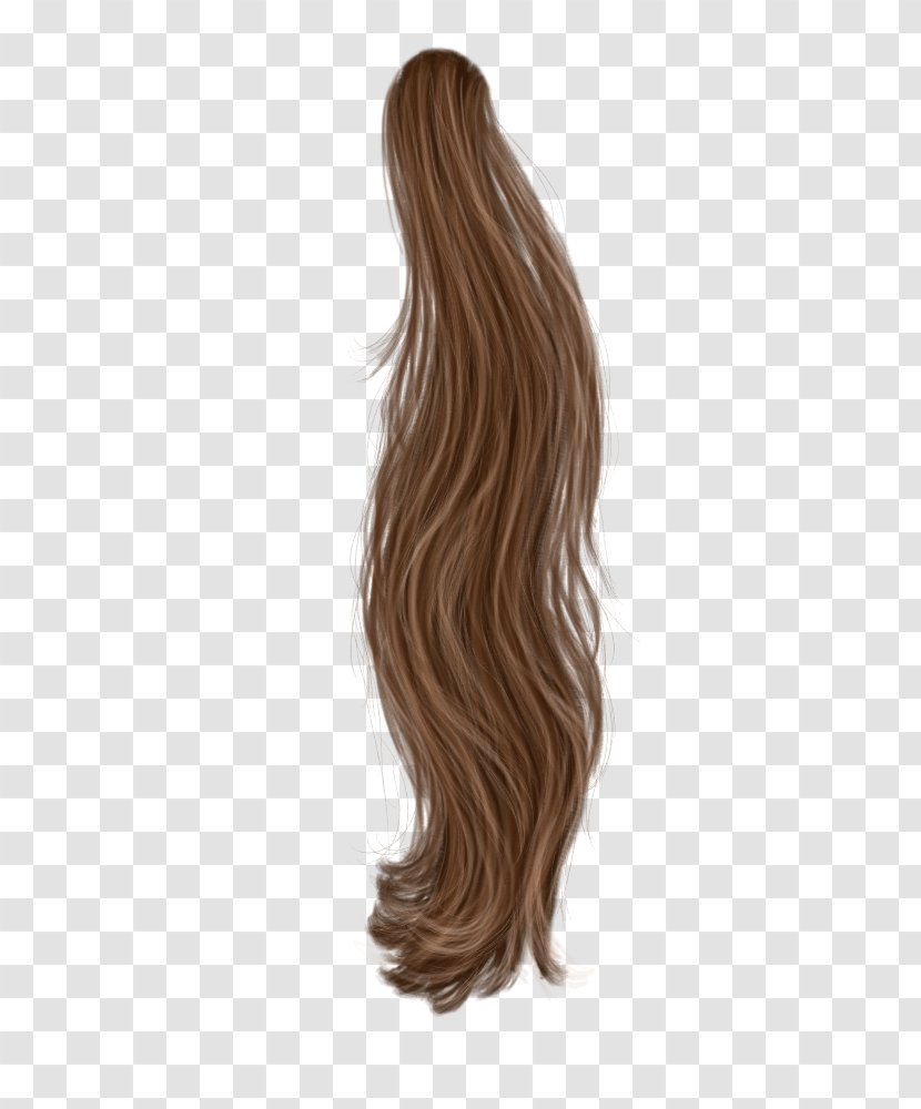 Hair/pelo PhotoScape - Hairpelo - Lock Of Hair Transparent PNG