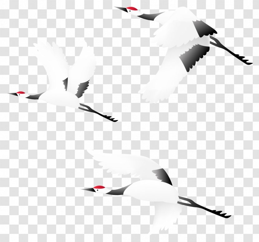 Bird Crane Clip Art - Gannet - CRANE BIRD Transparent PNG