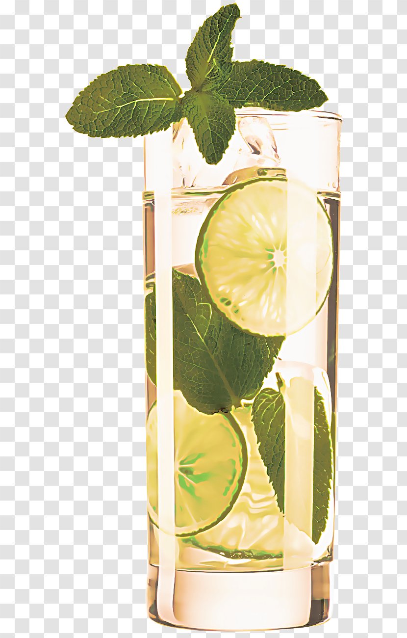 Lime Key Citrus Lemon Highball Glass - Lemonlime Drink Transparent PNG
