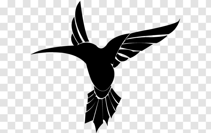 Beak Water Bird Neck Character - European Swallow - Logo Transparent PNG