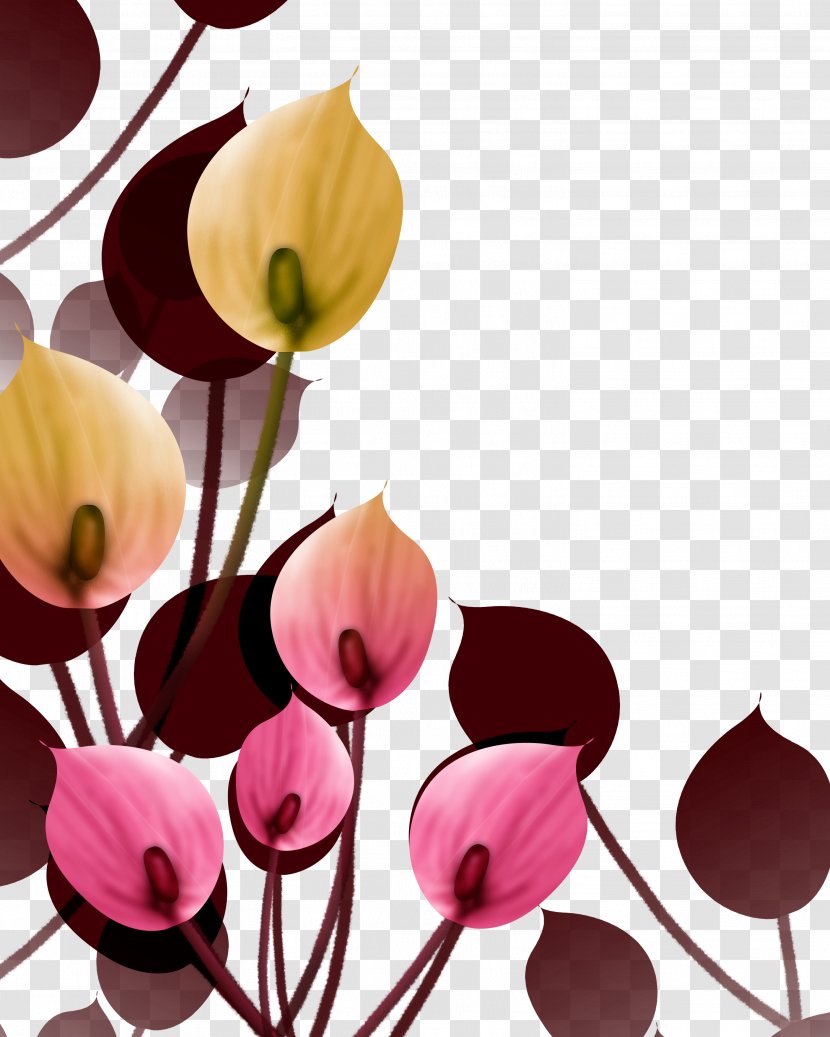Petal Flower Wallpaper - Arranging - Floral Decoration Transparent PNG