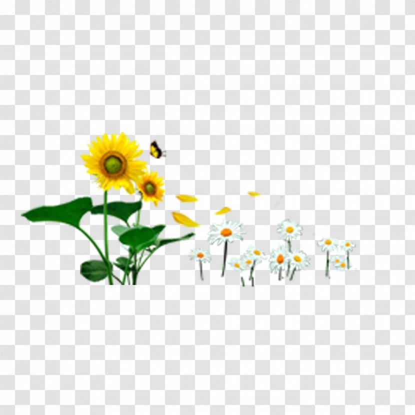Butterfly Common Sunflower Icon - Yellow - And Wild Chrysanthemum Transparent PNG