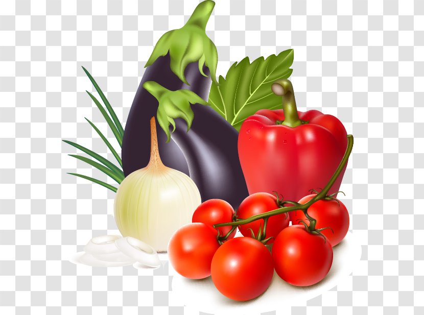 Tomato Eggplant Illustration - Bush - Realistic Vegetables Pattern Transparent PNG