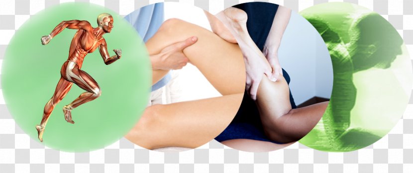 Massage By Cheryl Ann Physical Therapy Adhesive Capsulitis Of Shoulder - Sport Transparent PNG