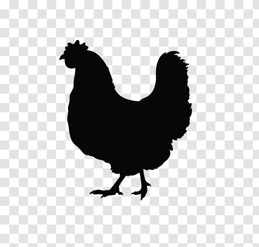 Silkie Rooster Silhouette - Livestock - Simple Bird Transparent PNG