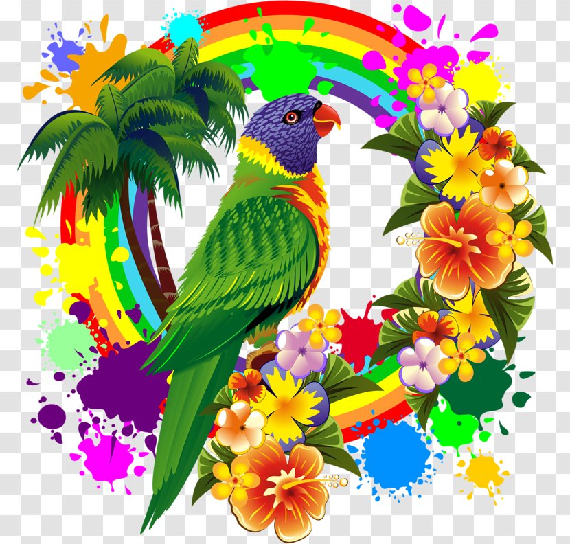 Parrot Rainbow Lorikeet Color Transparent PNG