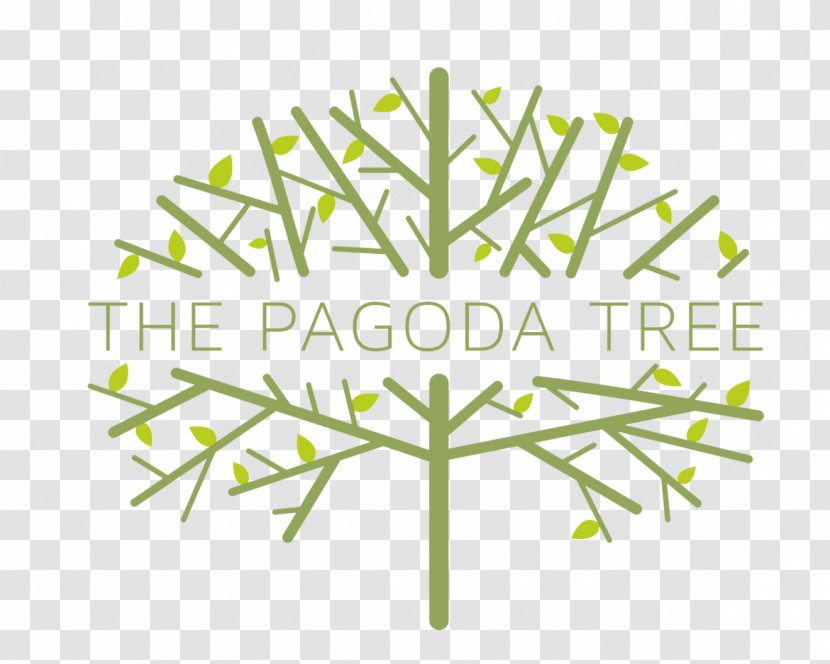 The Pagoda Tree Menstrual Cycle Menstruation Hormonal Contraception Ovulation - Dental Floss Transparent PNG