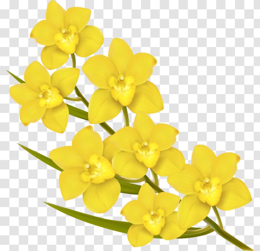 Flower Euclidean Vector Royalty-free Yellow - Plant - Six Flowers Transparent PNG