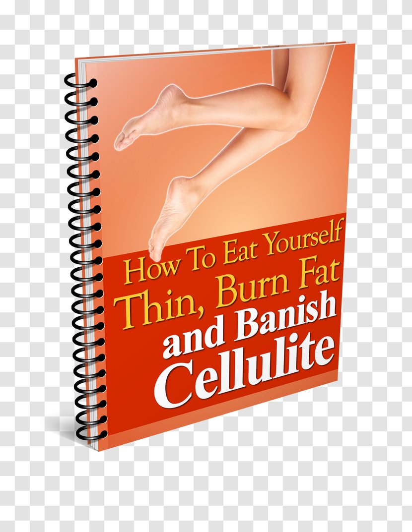 Cellulite Eating Diet Detoxification Food - Burn - Fat And Thin Transparent PNG