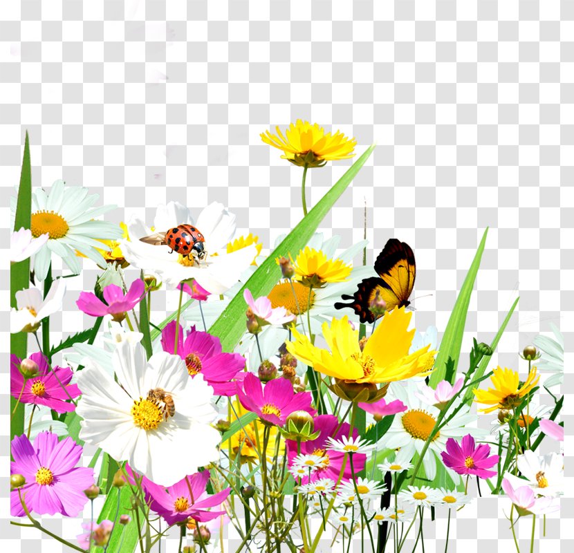 Flower Euclidean Vector - Floral Design - Flowers Grass Transparent PNG