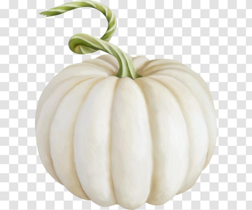 Patty Pan Pumpkin Gourd Image Jack-o'-lantern - Pattypan Squash - Talavera Transparent PNG