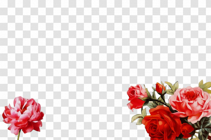 Garden Roses Transparent PNG