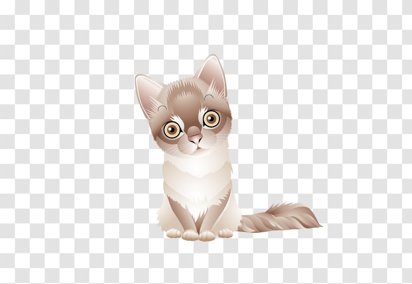 Polydactyl Cat Kitten Dog - Pet - Pictures Transparent PNG