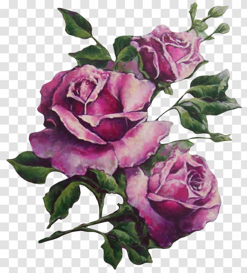 Paper Rose Flower Purple Vintage - Frame Transparent PNG