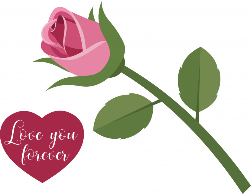 Garden Roses Transparent PNG