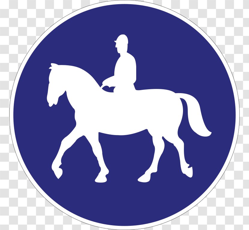 Horse Equestrian Mule Track Stallion - Mane Transparent PNG