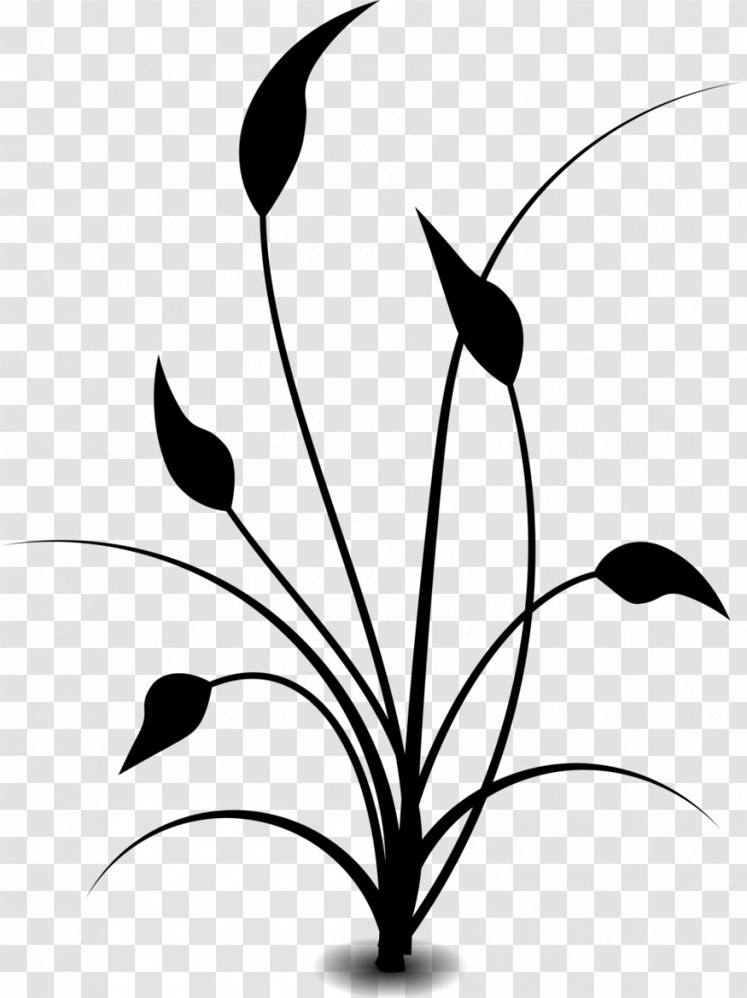 Clip Art Vector Graphics Illustration Image JPEG - Monochrome Photography - Wildflower Transparent PNG