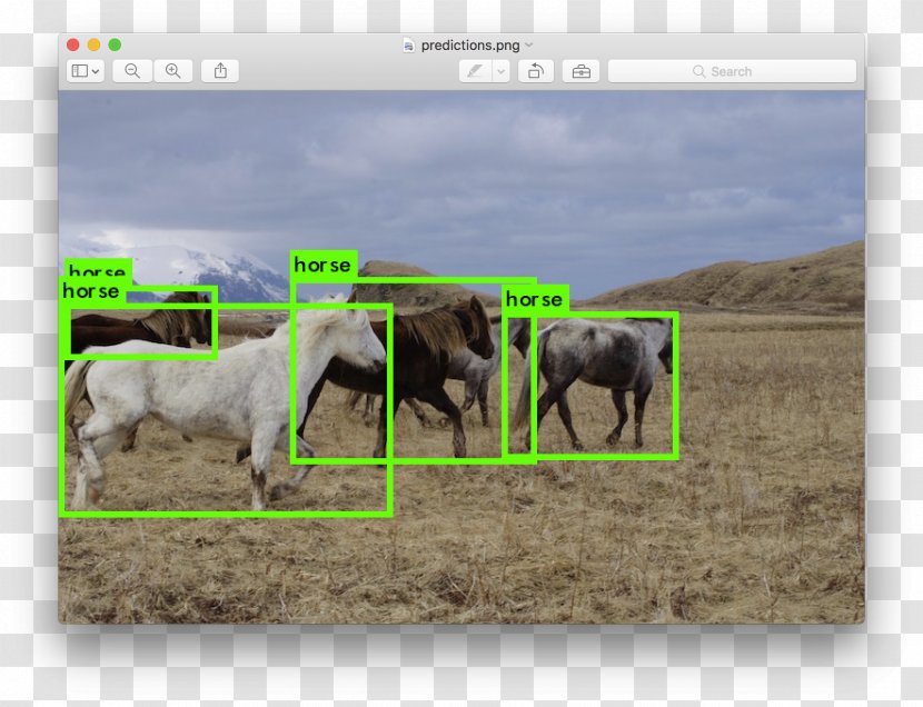 Object Detection Real-time Computing YOLO - Yolo - Prompt Box Transparent PNG