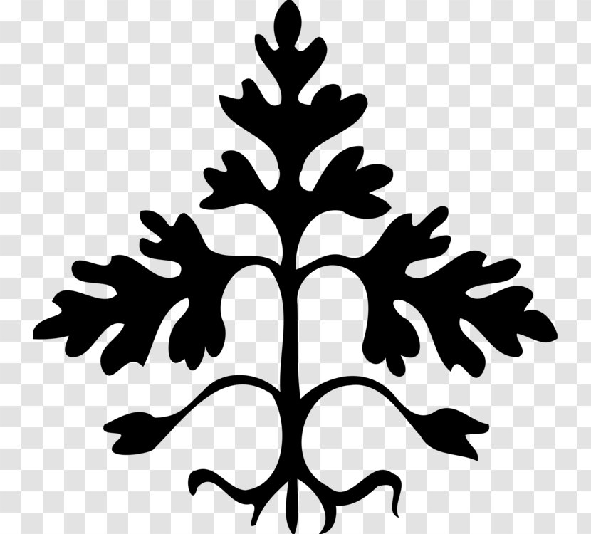 Family Tree Silhouette - Blackandwhite - Evergreen Conifer Transparent PNG