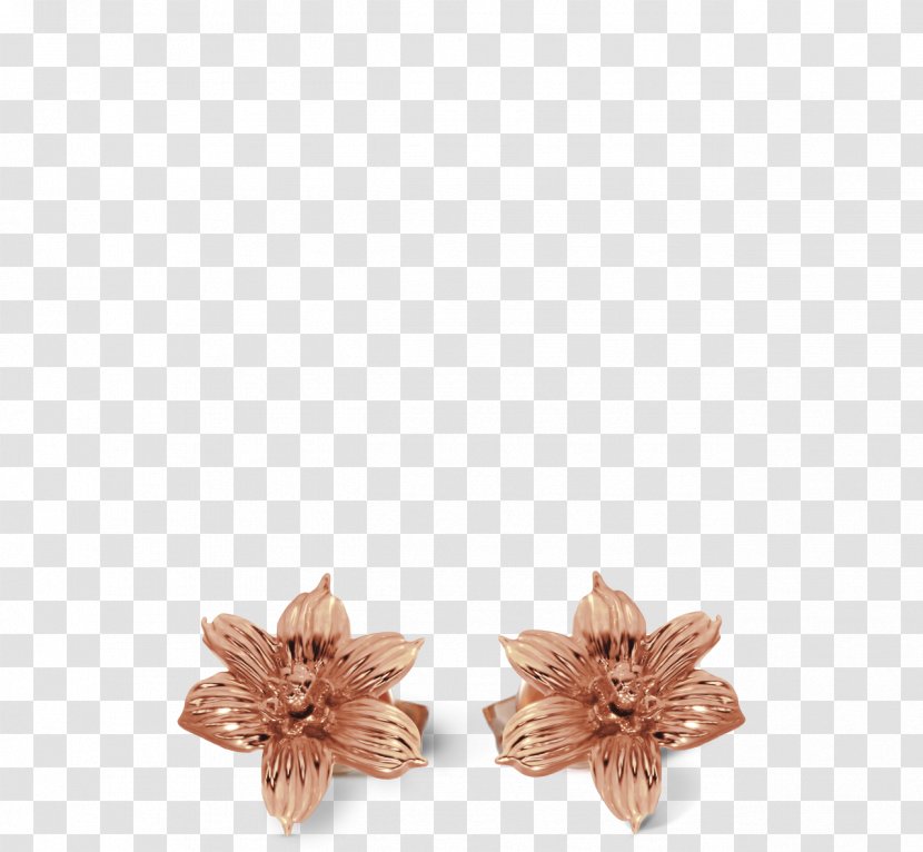 Earring Sisyrinchium Bermudiana The Jewellery Davidrose Studio - Flower - Gold Studded Bra Transparent PNG