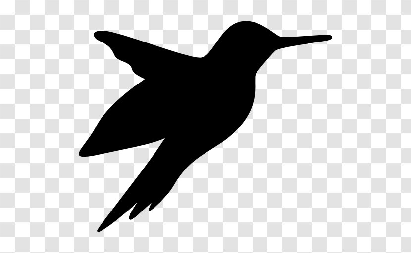 Hummingbird - Organism - Humming Bird Transparent PNG