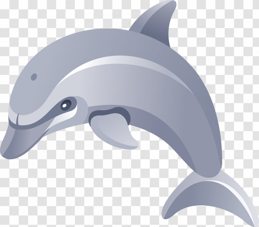 Dolphin Drawing Clip Art - Tucuxi Transparent PNG