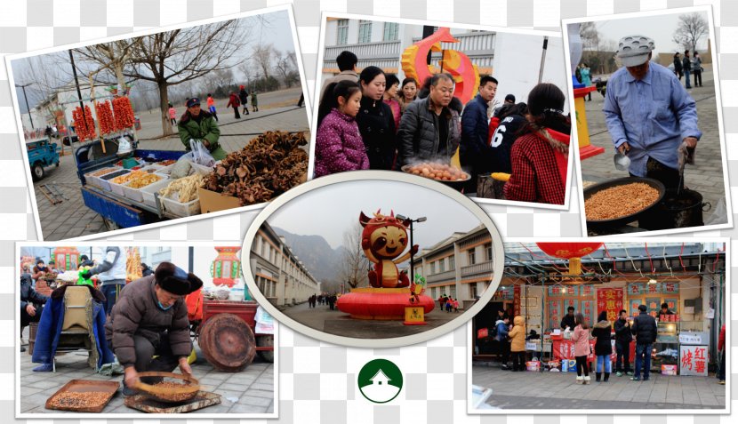 Collage Tree Tourism - Recreation - Lantern Festival Transparent PNG