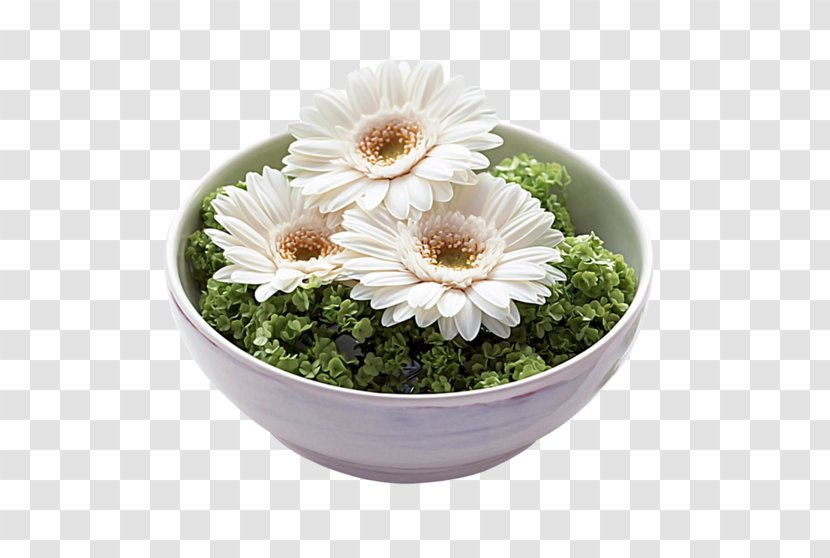 Chrysanthemum สิ่งใดเกิดขึ้นแล้ว สิ่งนั้นดีเสมอ - Floristry Transparent PNG