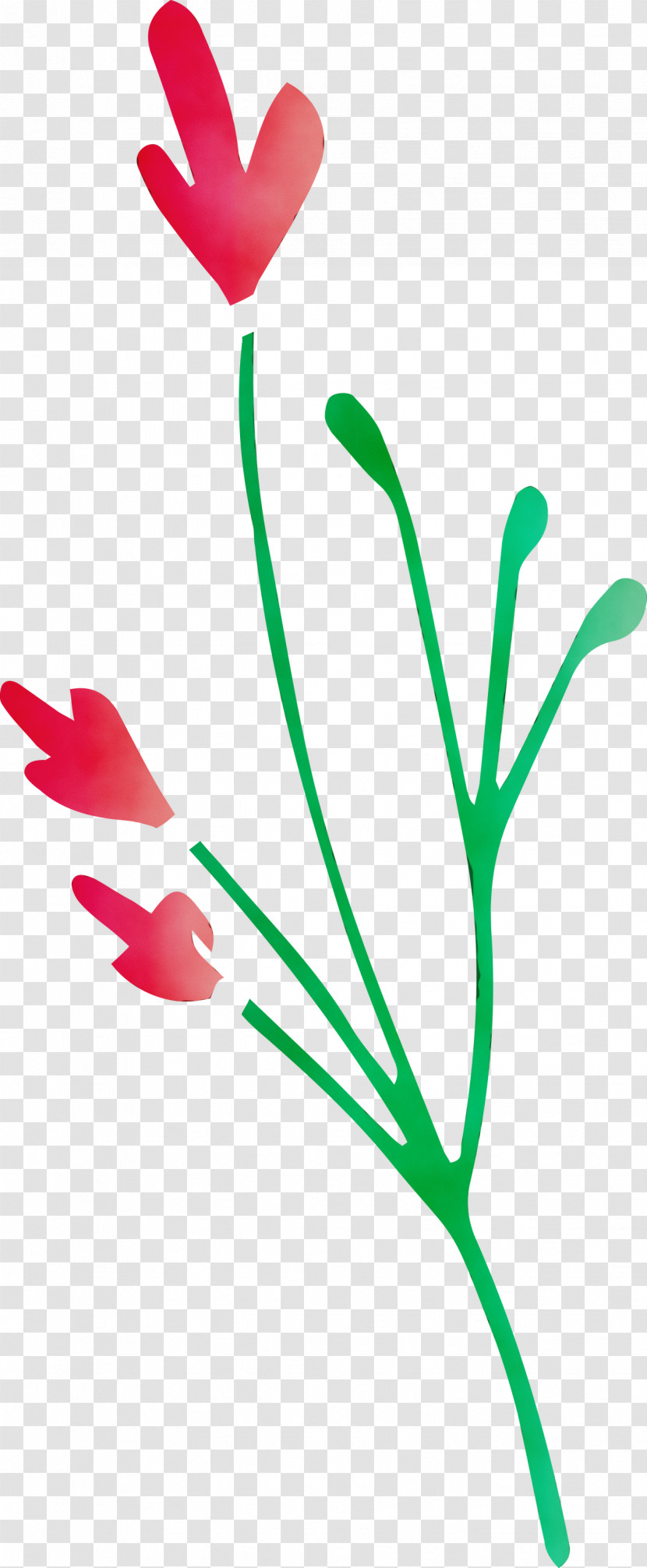 Plant Stem Petal Leaf Green Line Transparent PNG