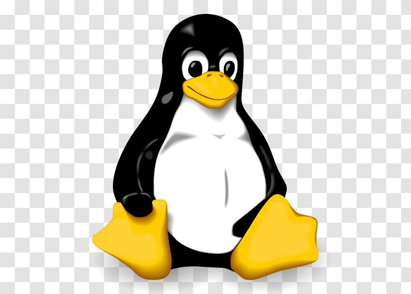 Linux Installation Operating Systems Tux Ubuntu - Unix Transparent PNG