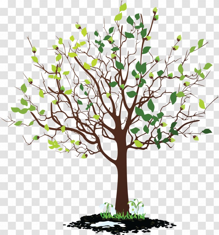 Tree Clip Art - Flower - Animated Mangrove Forest Transparent PNG