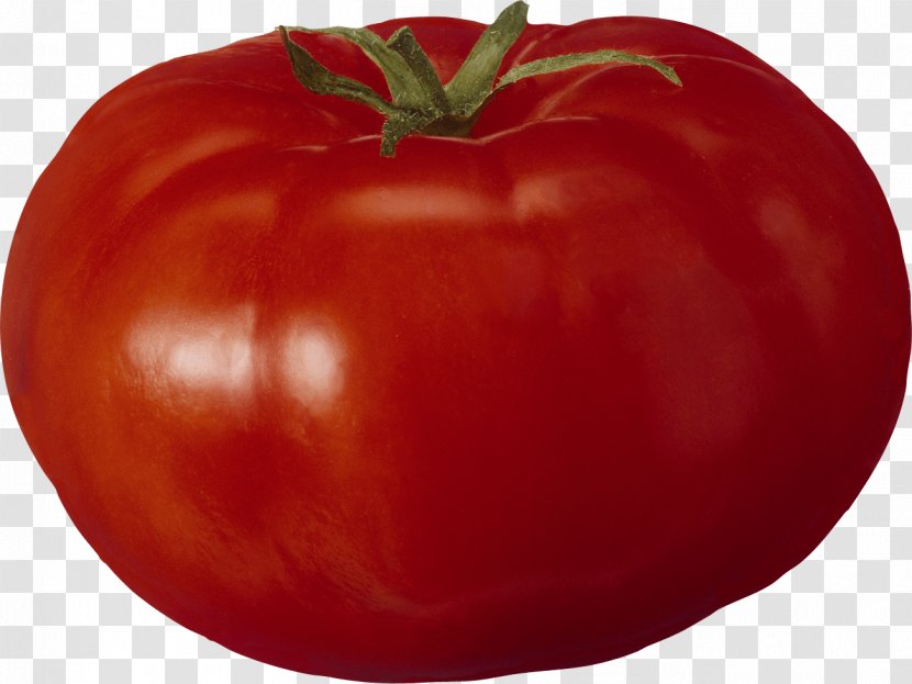 Tomato Vegetable - Winter Squash - Image Transparent PNG